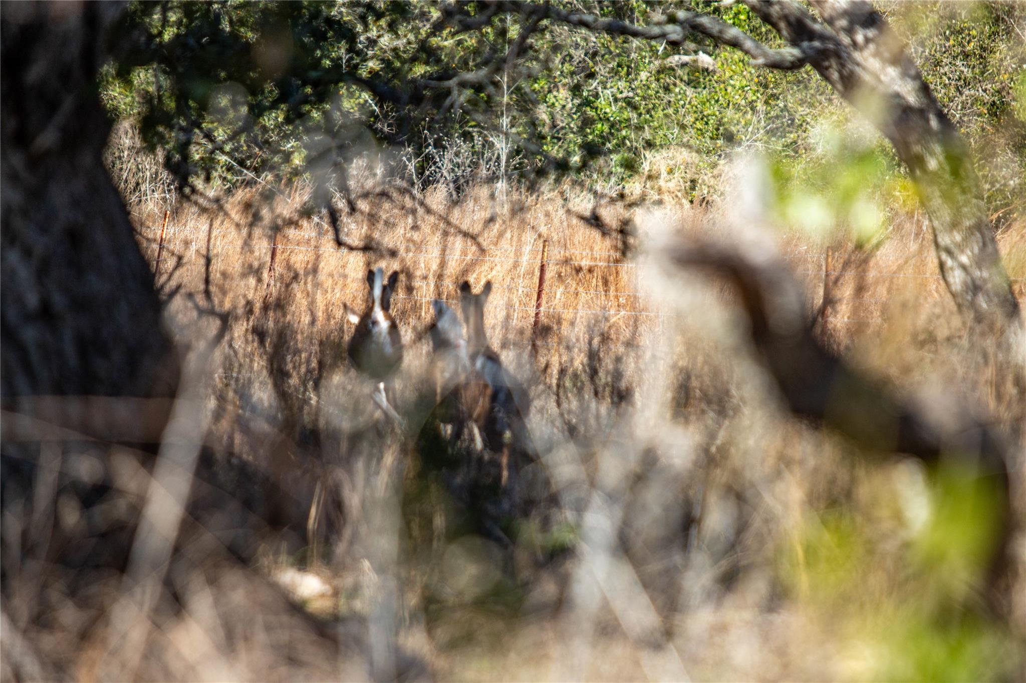 Image 39 of 40 For 6498 Hwy 35