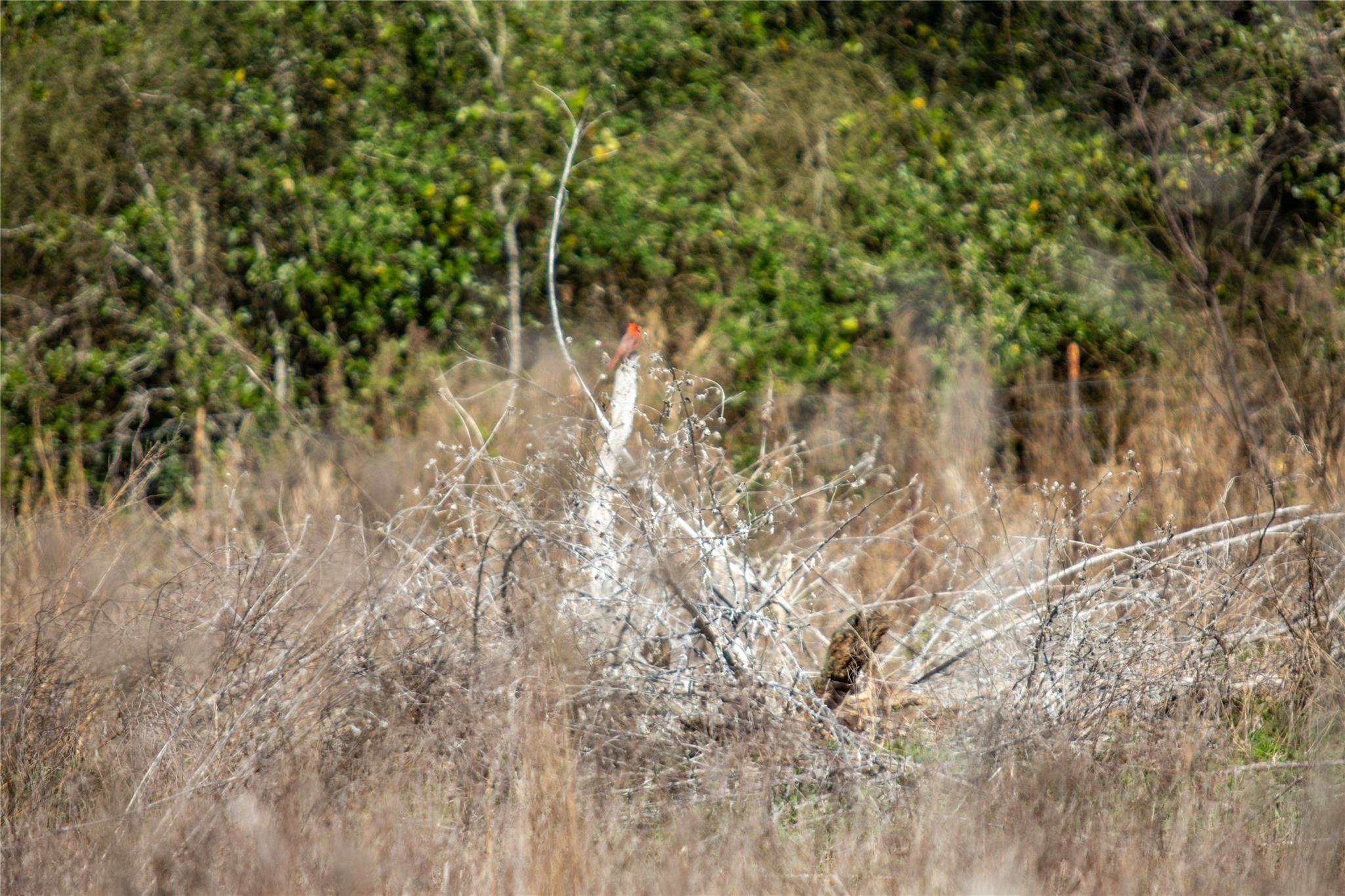 Image 40 of 40 For 6498 Hwy 35