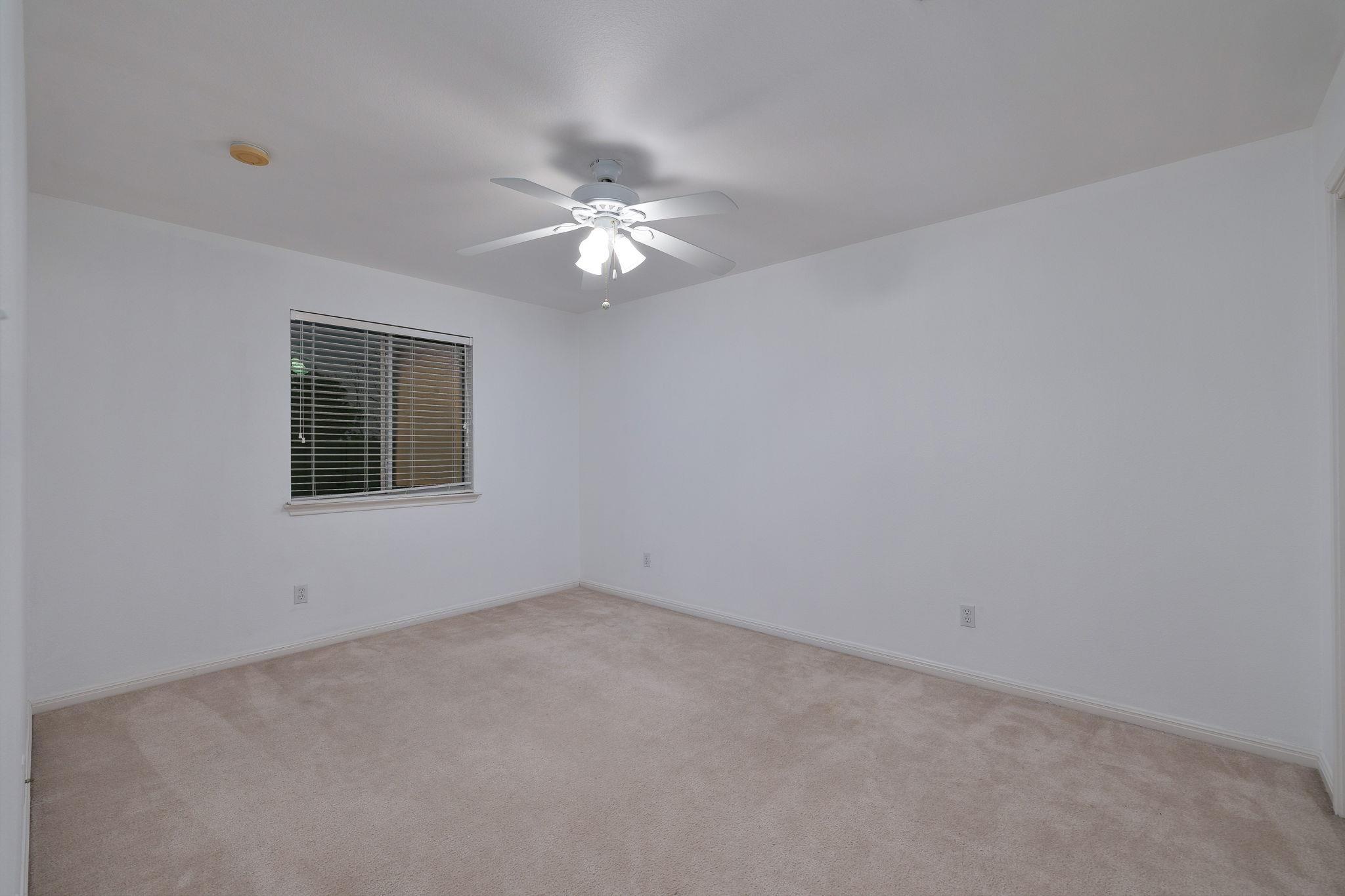 Image 20 of 23 For 7603 Braun Bnd