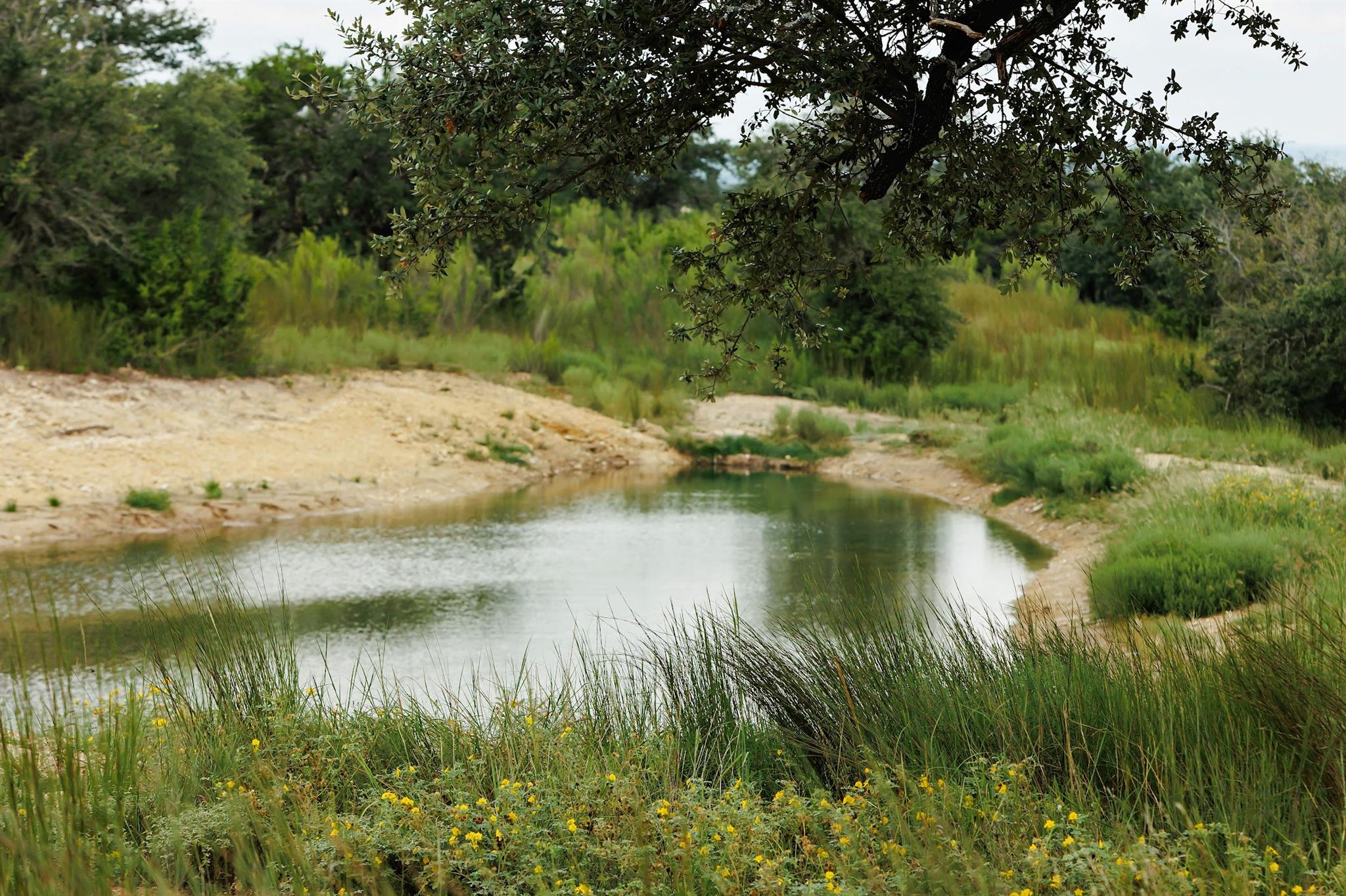 Image 6 of 16 For Lot 13 Ridgeway Trl