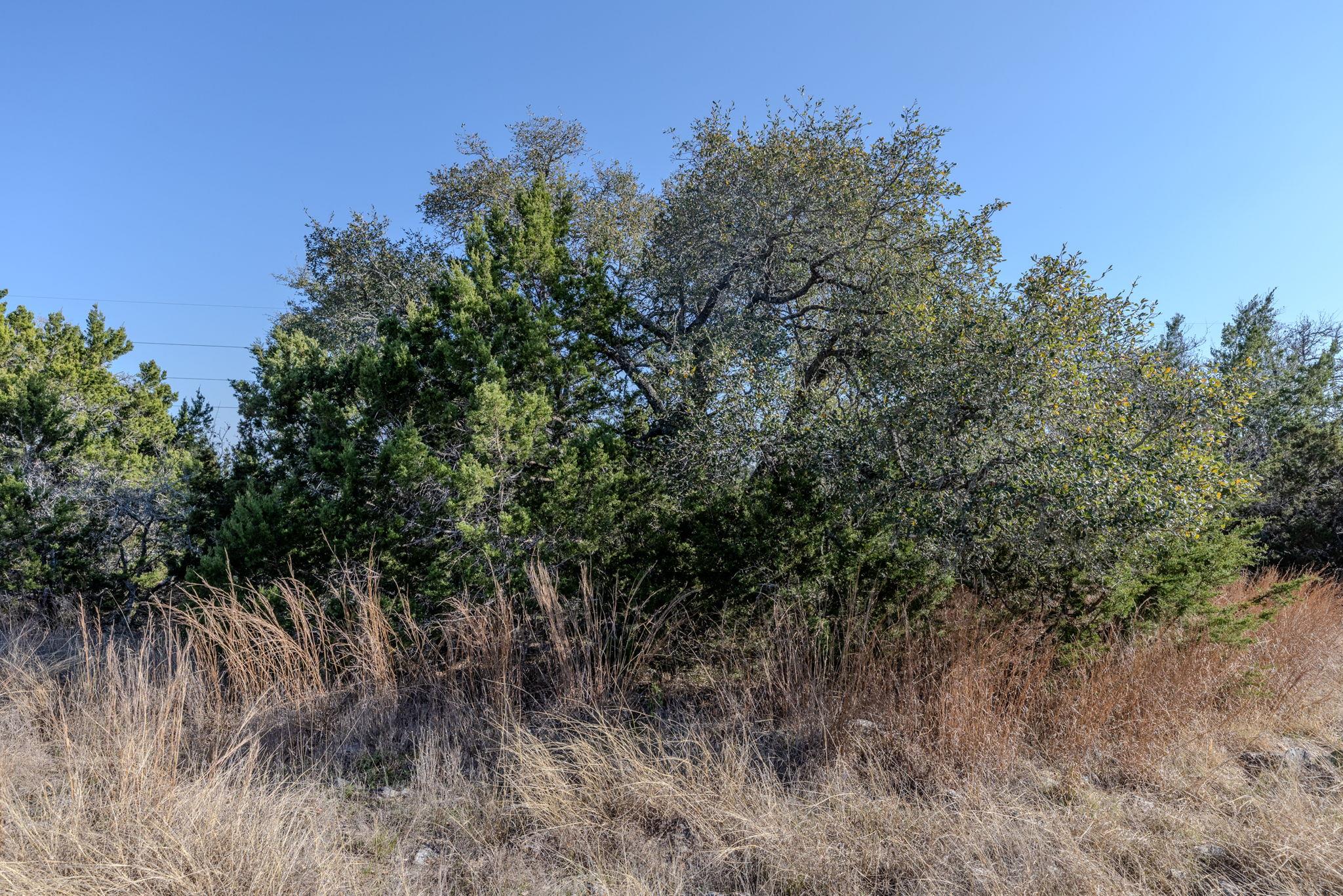 Image 36 of 39 For Tbd Lot 5 Sanctuary Ln