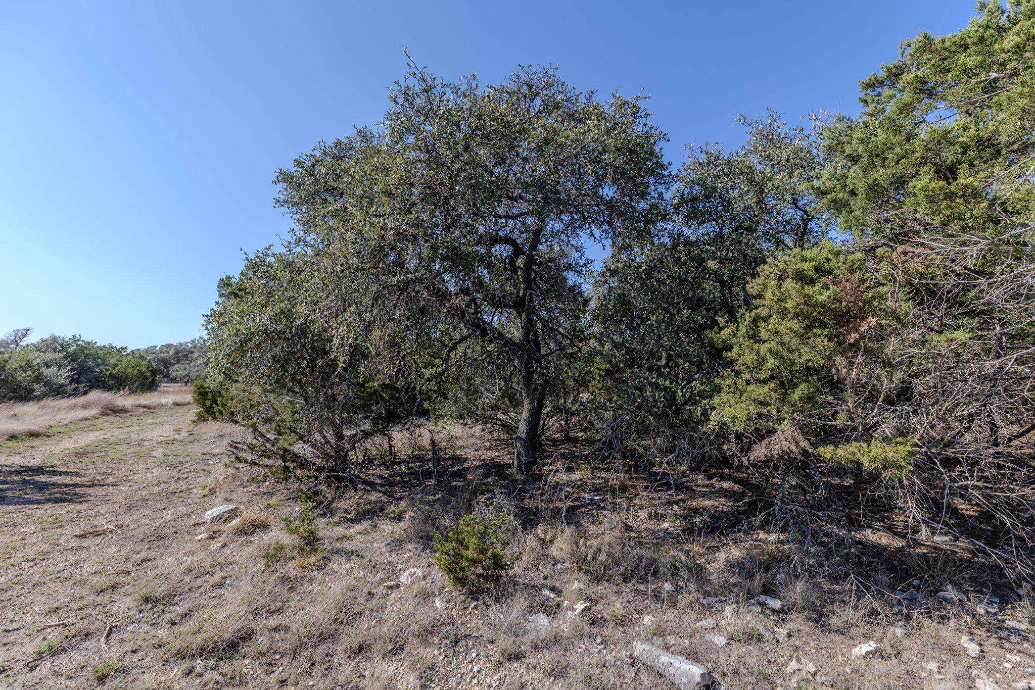 Image 4 of 39 For Tbd Lot 5 Sanctuary Ln