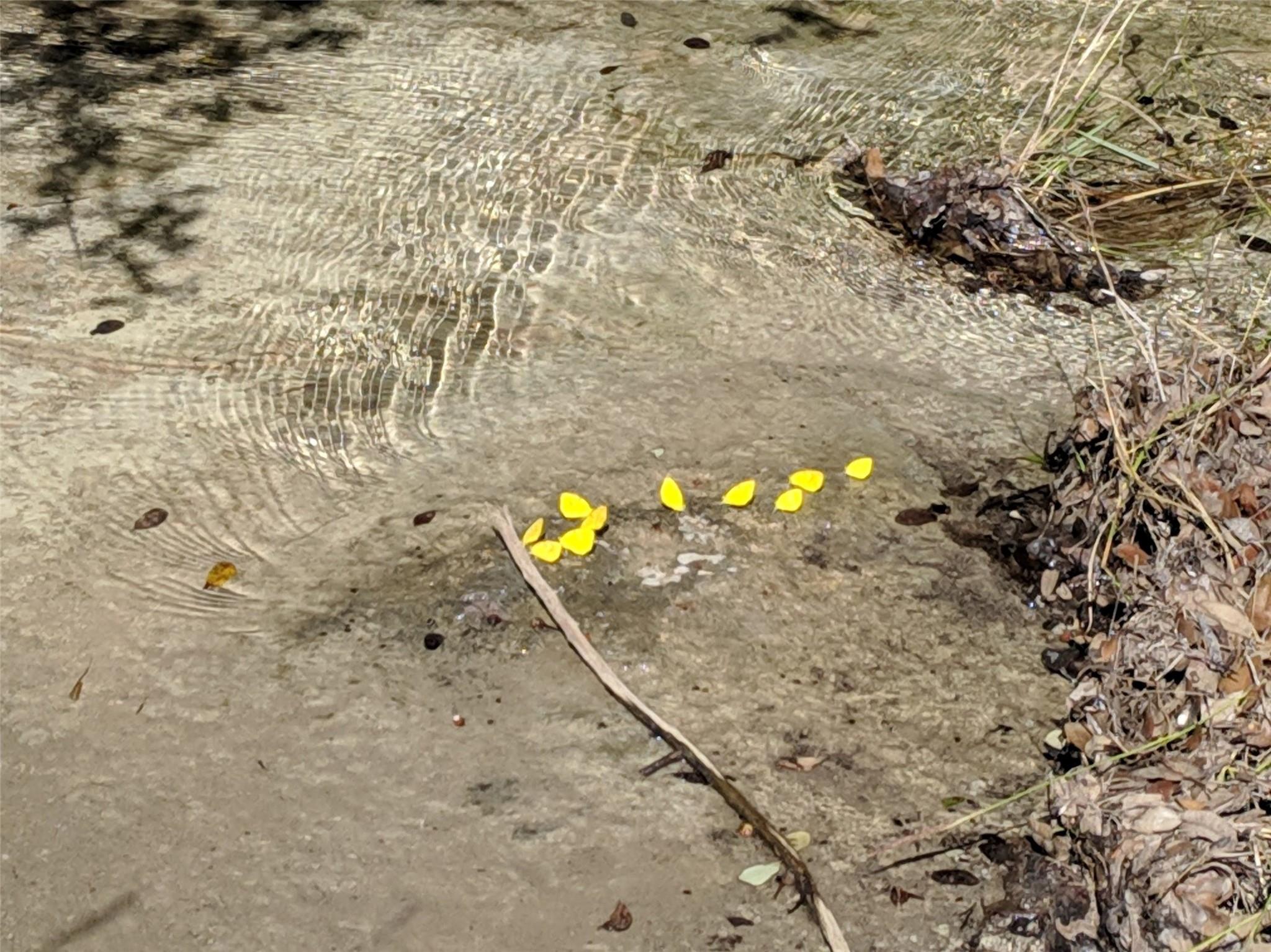 Image 11 of 25 For 00 Angel Light Dr Dr