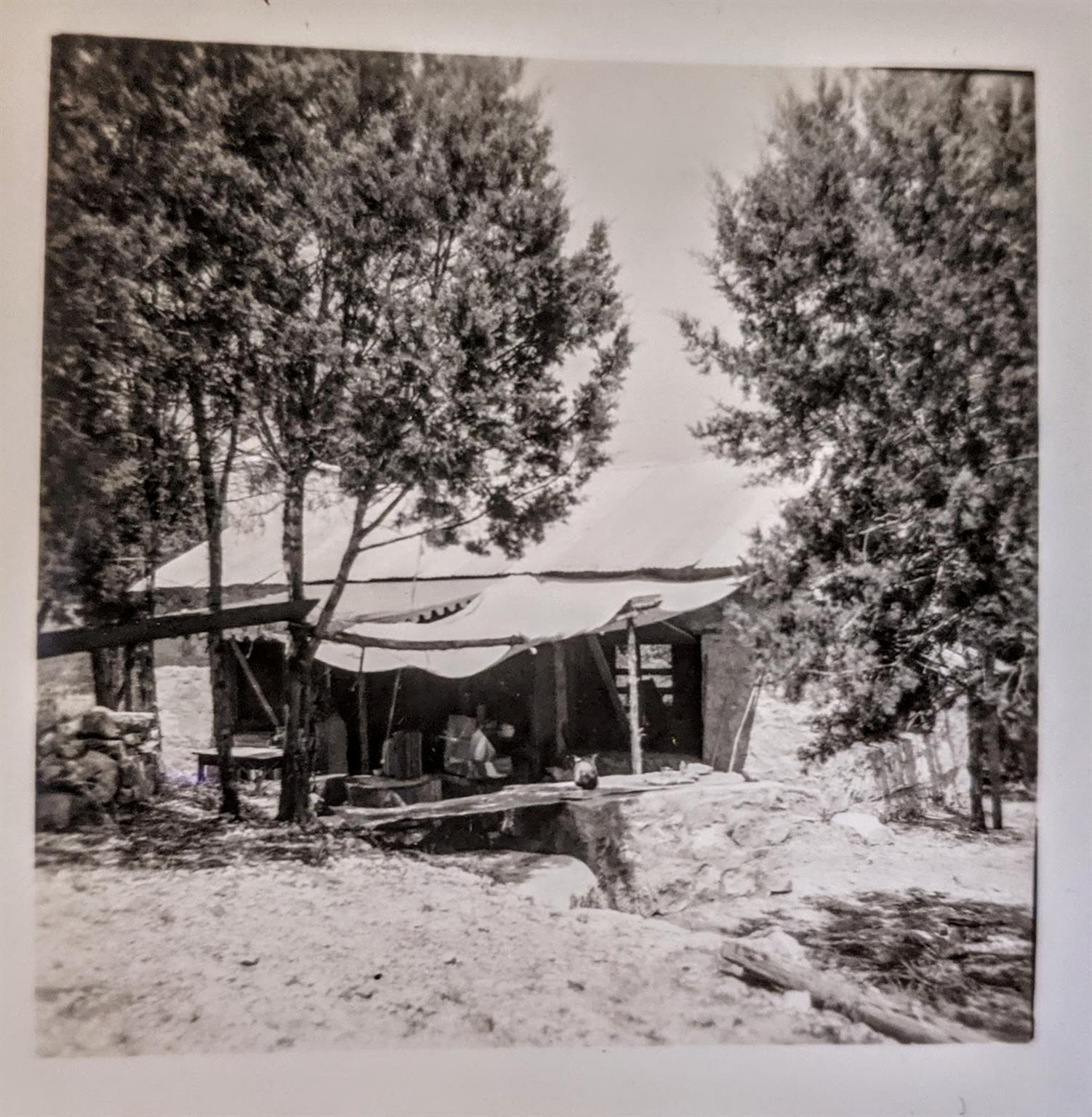 Image 18 of 25 For 00 Angel Light Dr Dr