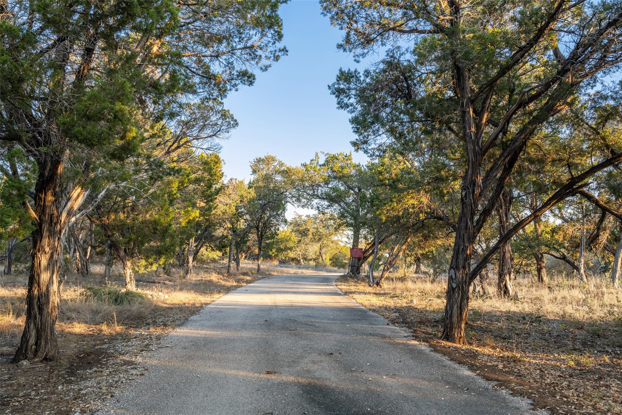 Image 21 of 25 For 00 Angel Light Dr Dr