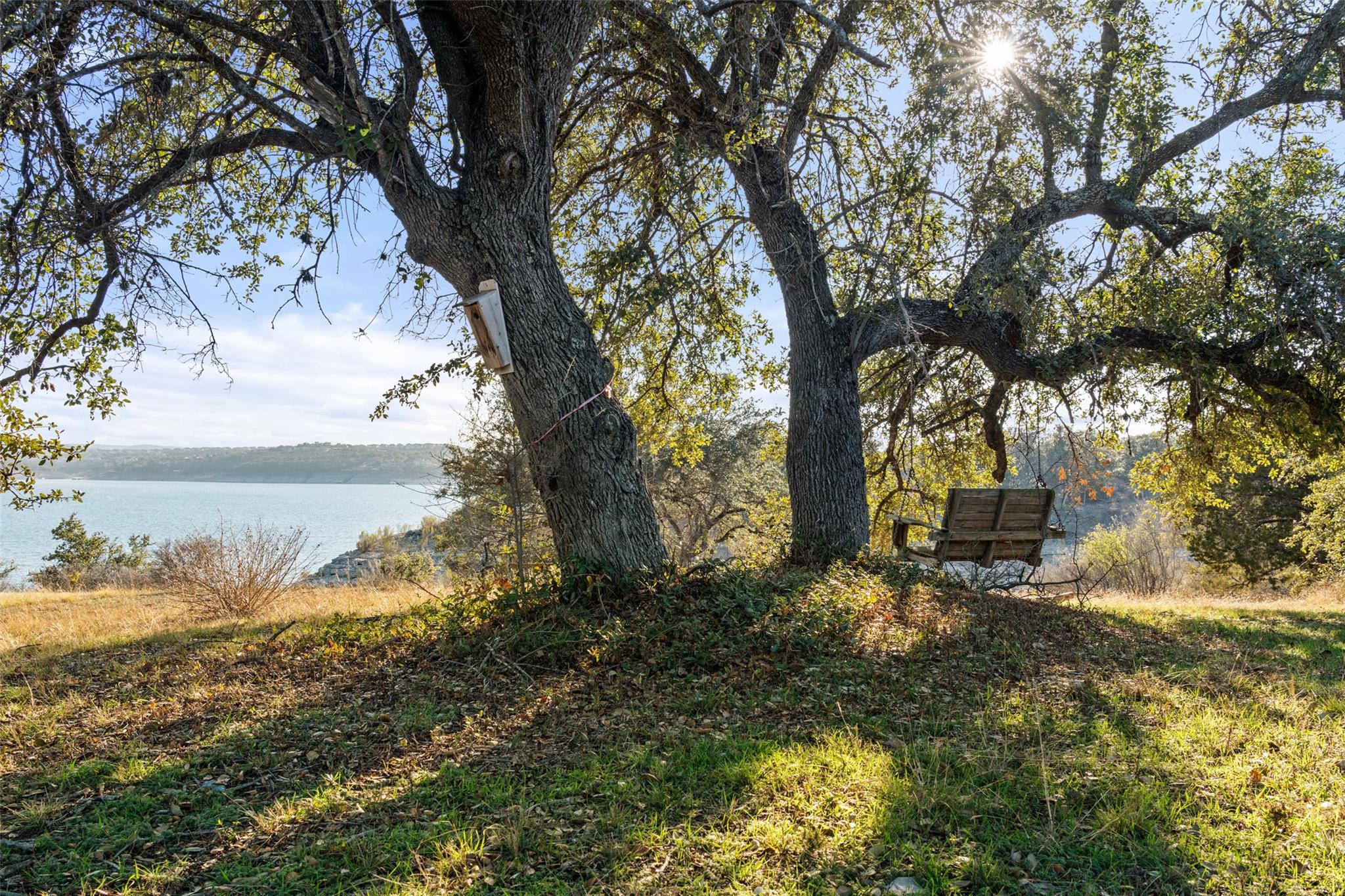 Image 24 of 25 For 00 Angel Light Dr Dr