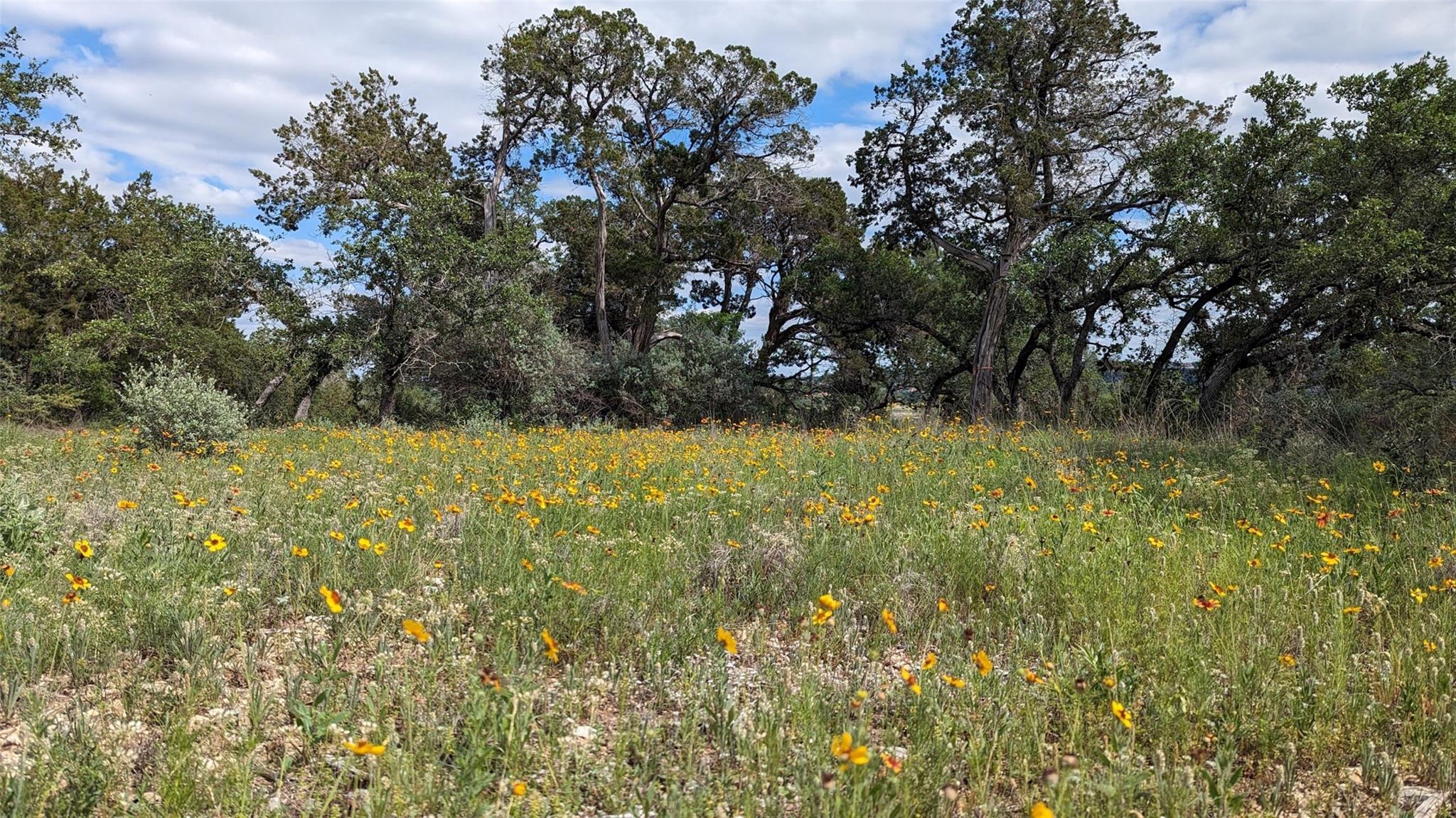 Image 5 of 25 For 00 Angel Light Dr Dr