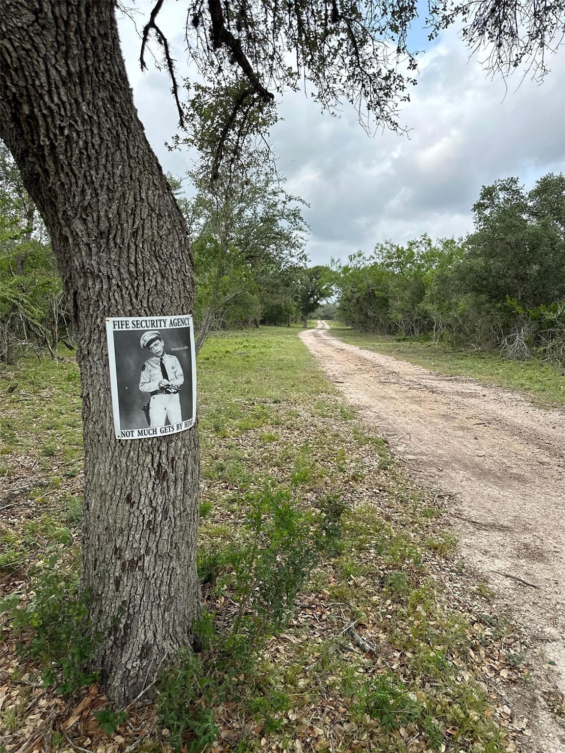 Image 23 of 32 For 305 Cr 305