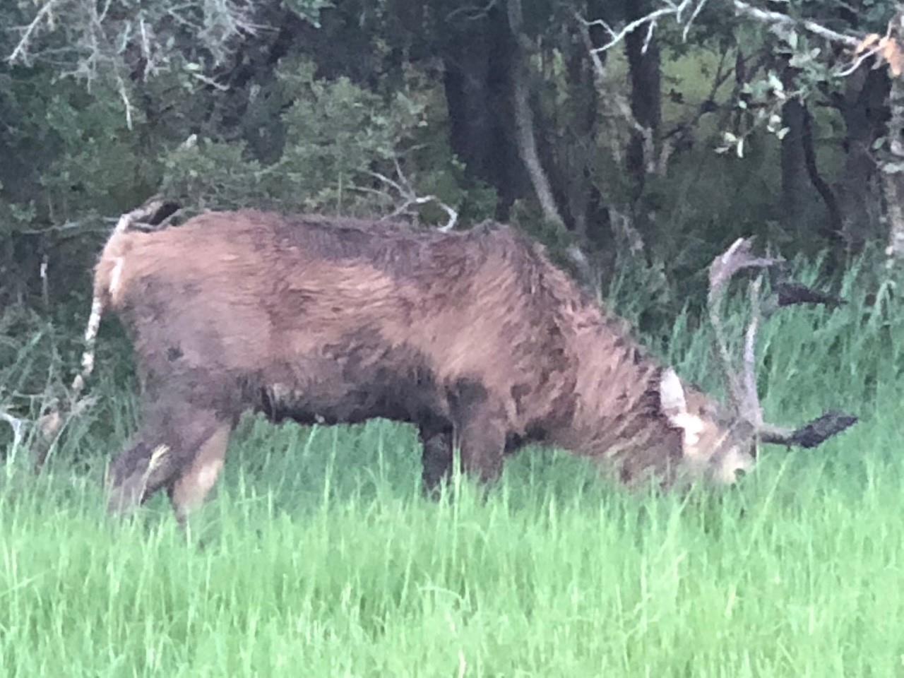 Image 31 of 32 For 305 Cr 305