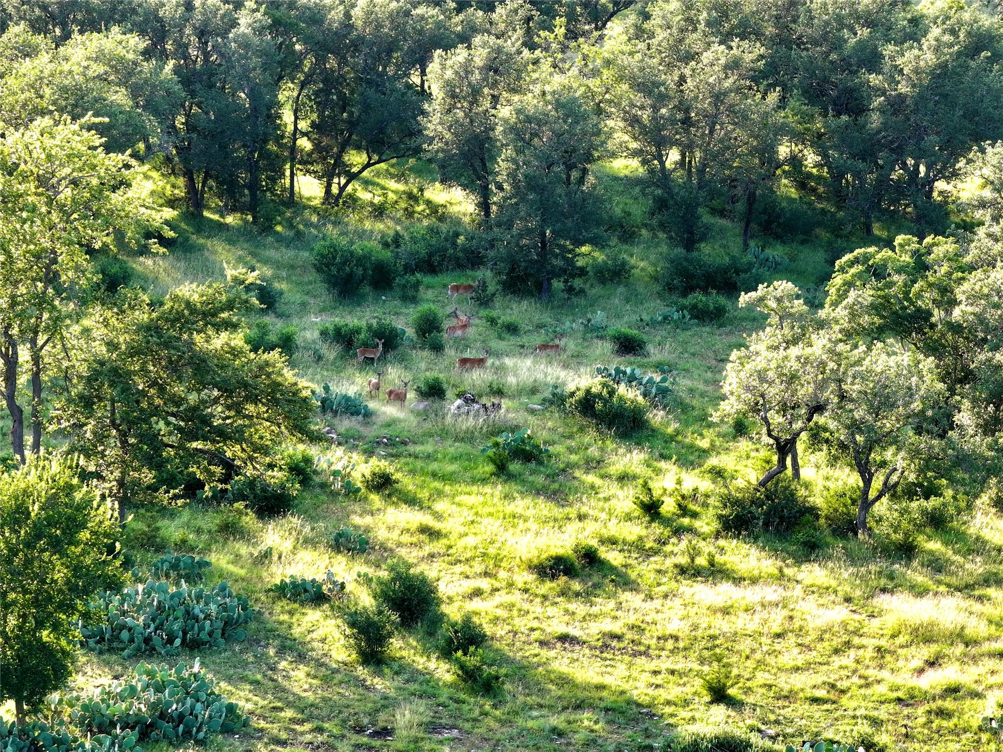 Image 2 of 11 For Lot 4 Cr 220