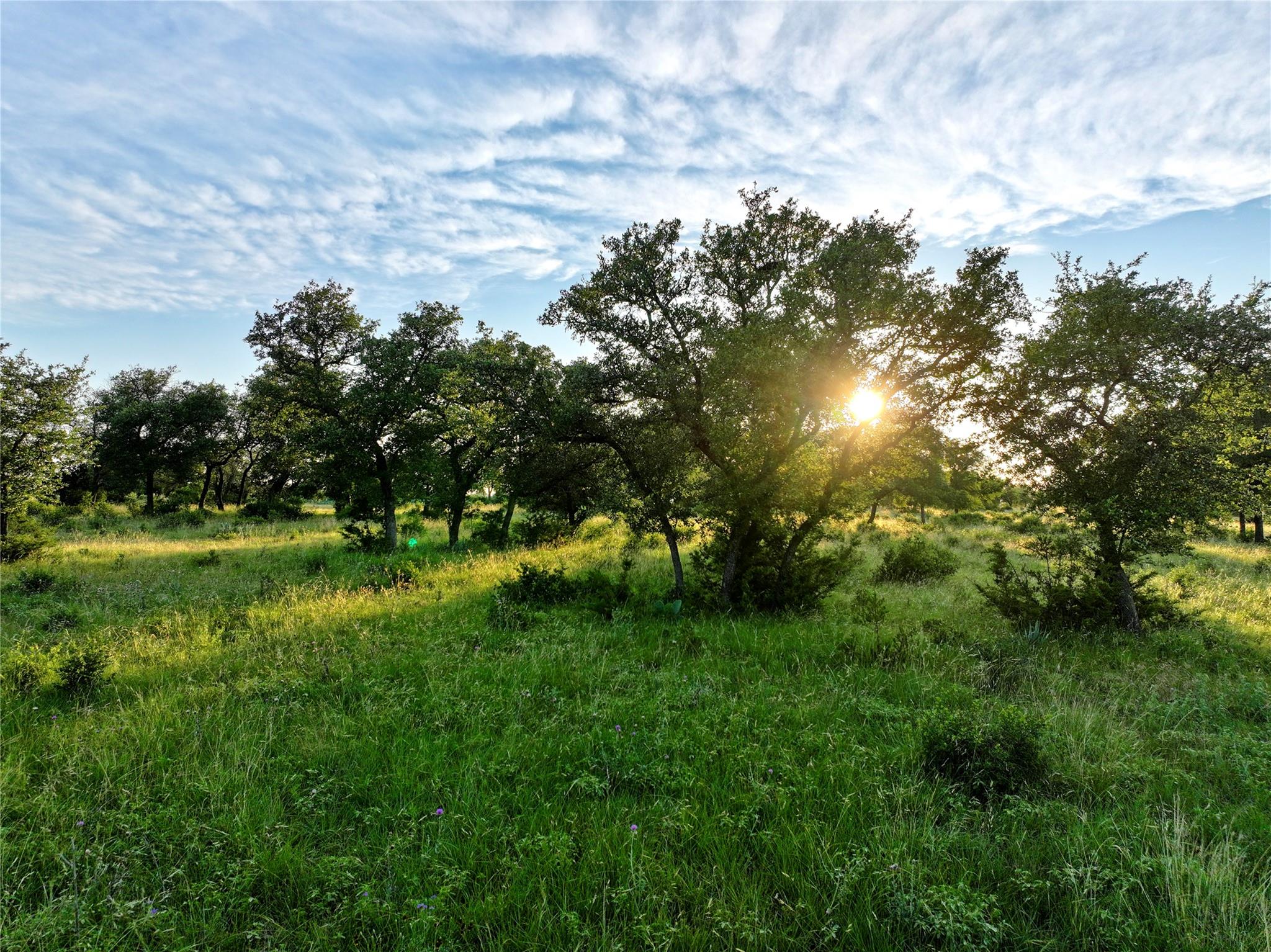 Image 5 of 11 For Lot 4 Cr 220