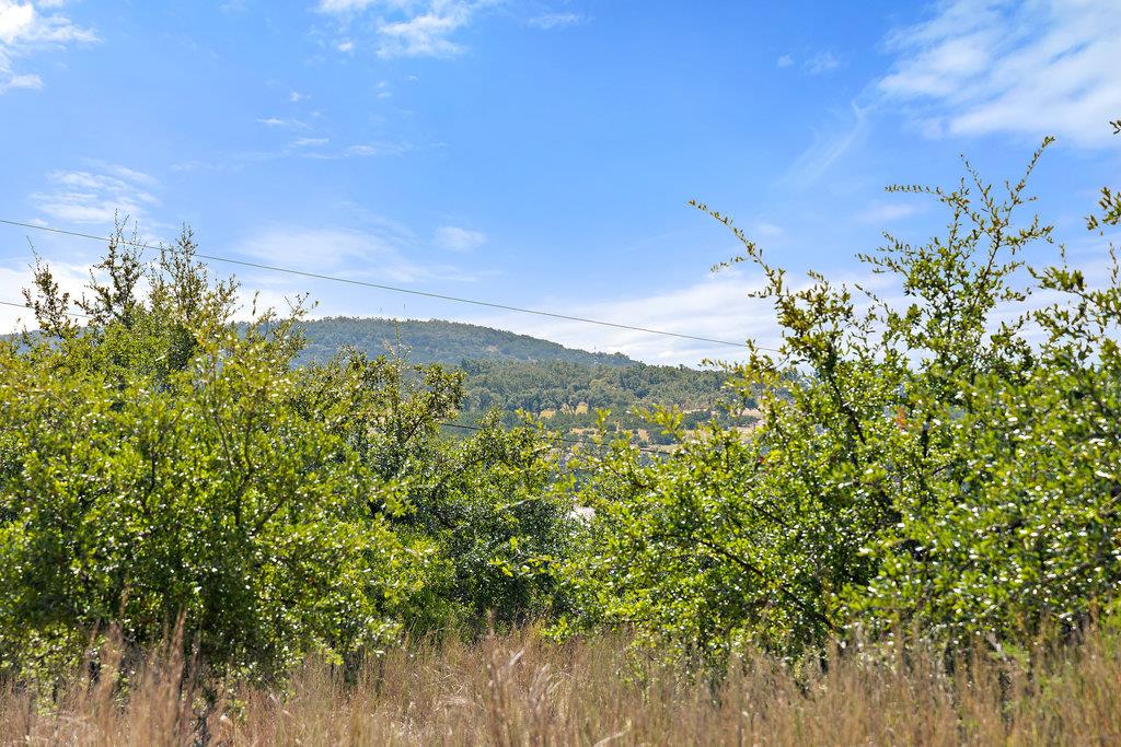 Image 18 of 31 For Tract 2 Of 5818 Ranch Road 165