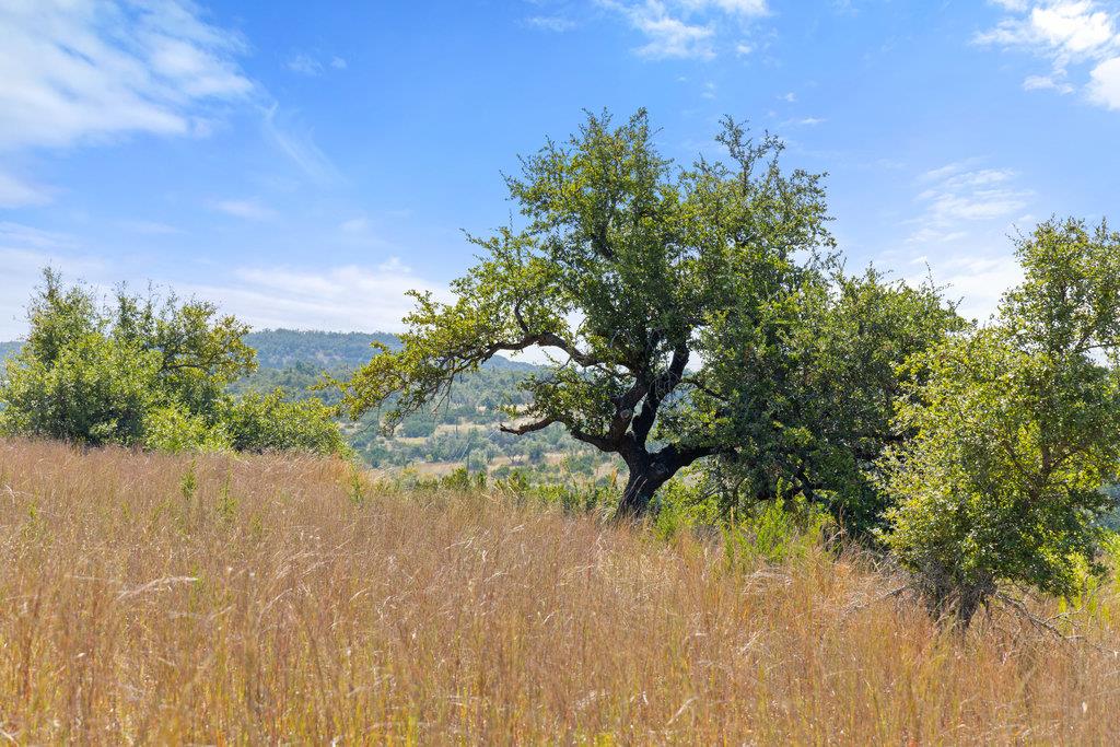 Image 2 of 31 For Tract 2 Of 5818 Ranch Road 165