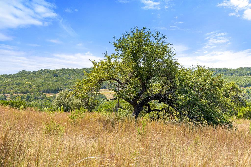 Image 20 of 31 For Tract 2 Of 5818 Ranch Road 165