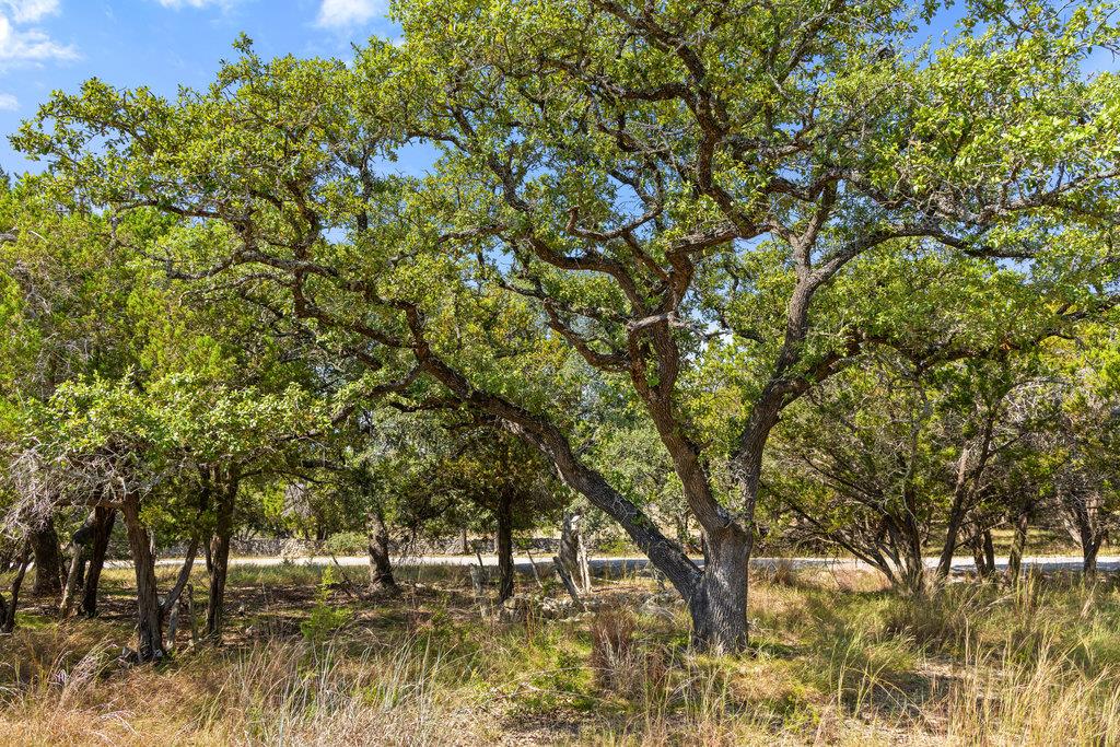 Image 21 of 31 For Tract 2 Of 5818 Ranch Road 165