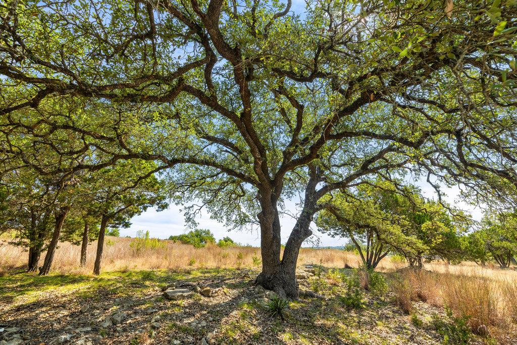 Image 26 of 31 For Tract 2 Of 5818 Ranch Road 165