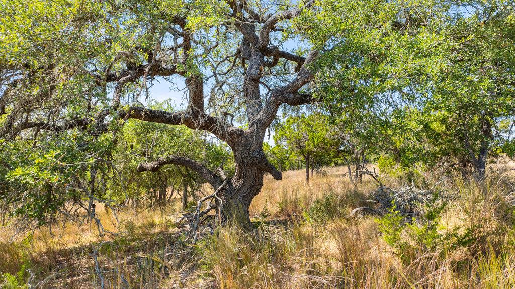 Image 8 of 31 For Tract 2 Of 5818 Ranch Road 165