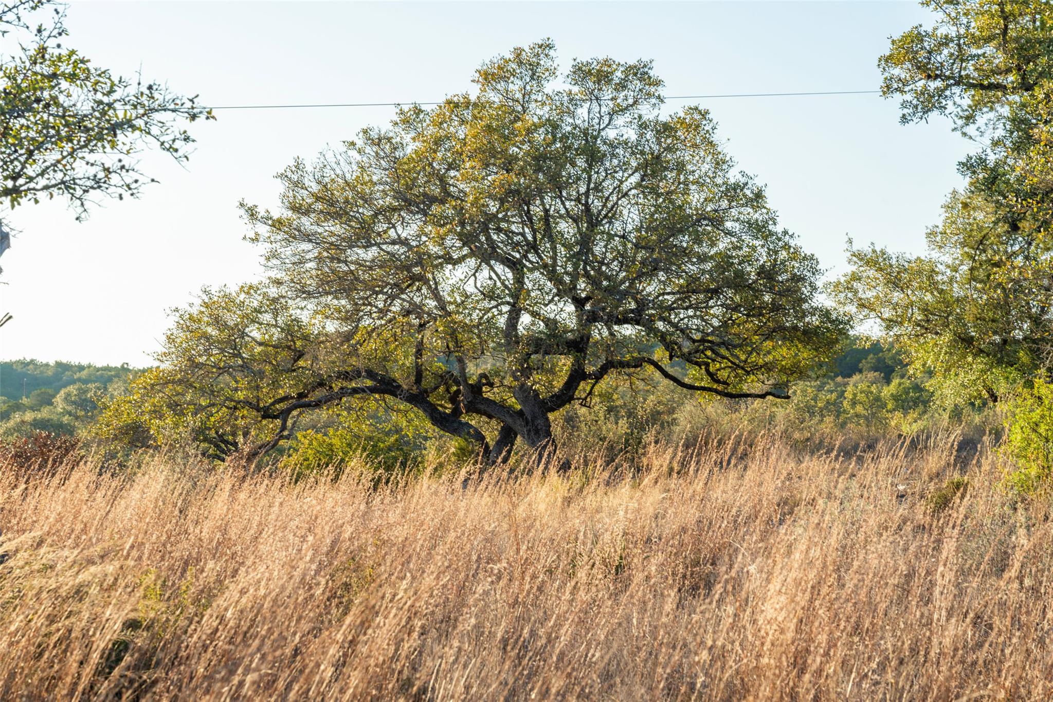 Image 10 of 12 For Tbd Angel Light Dr