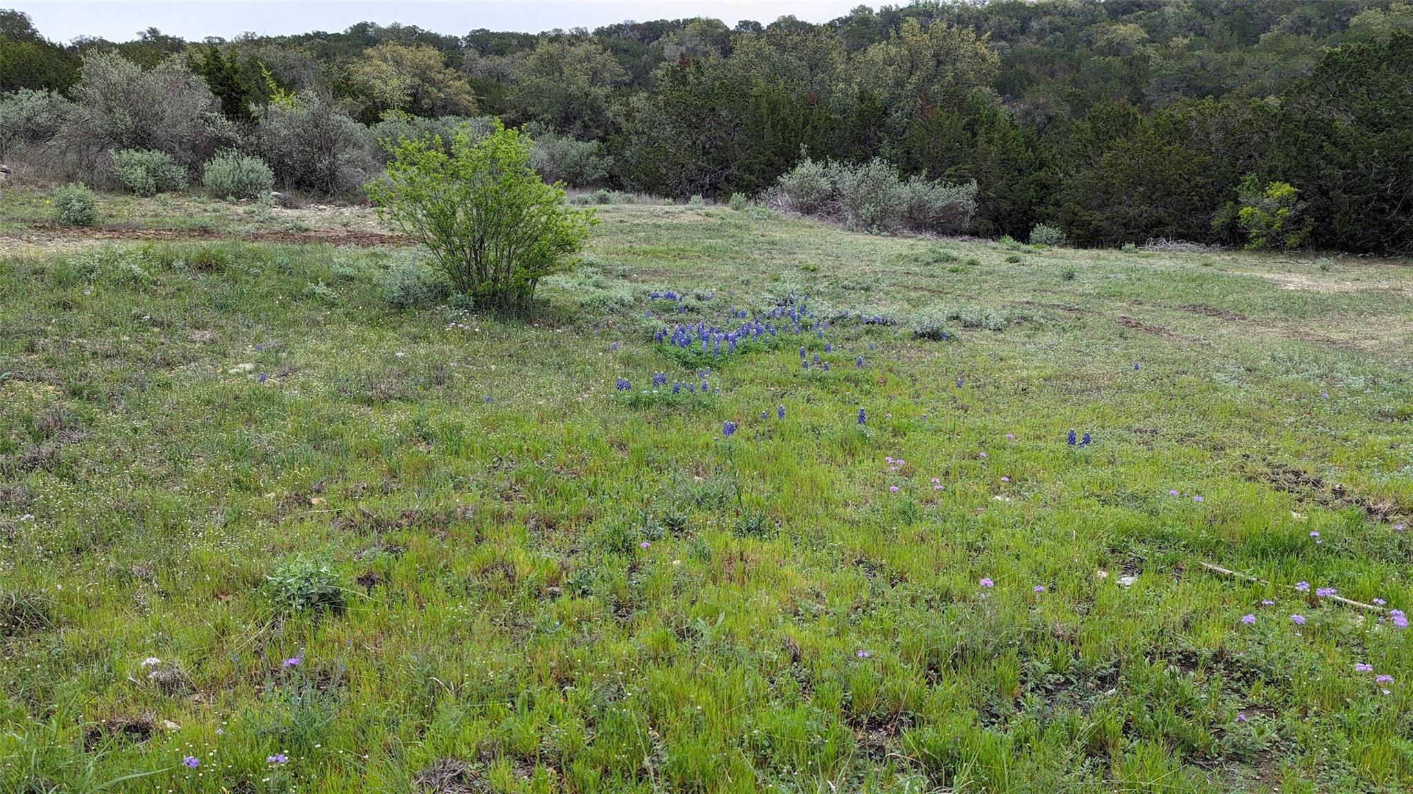 Image 8 of 12 For Tbd Angel Light Dr