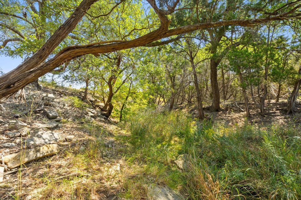 Details for Tract 3 Of 5818 Ranch Road 165, Blanco, TX 78606