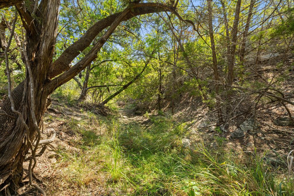 Image 2 of 24 For Tract 3 Of 5818 Ranch Road 165