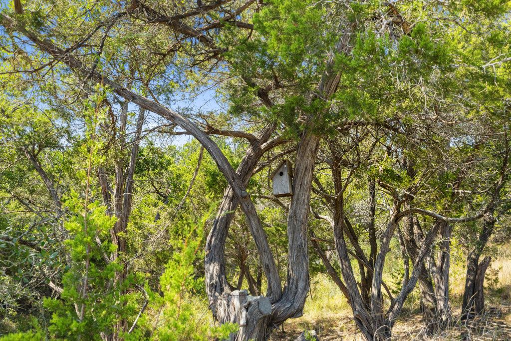 Image 21 of 24 For Tract 3 Of 5818 Ranch Road 165