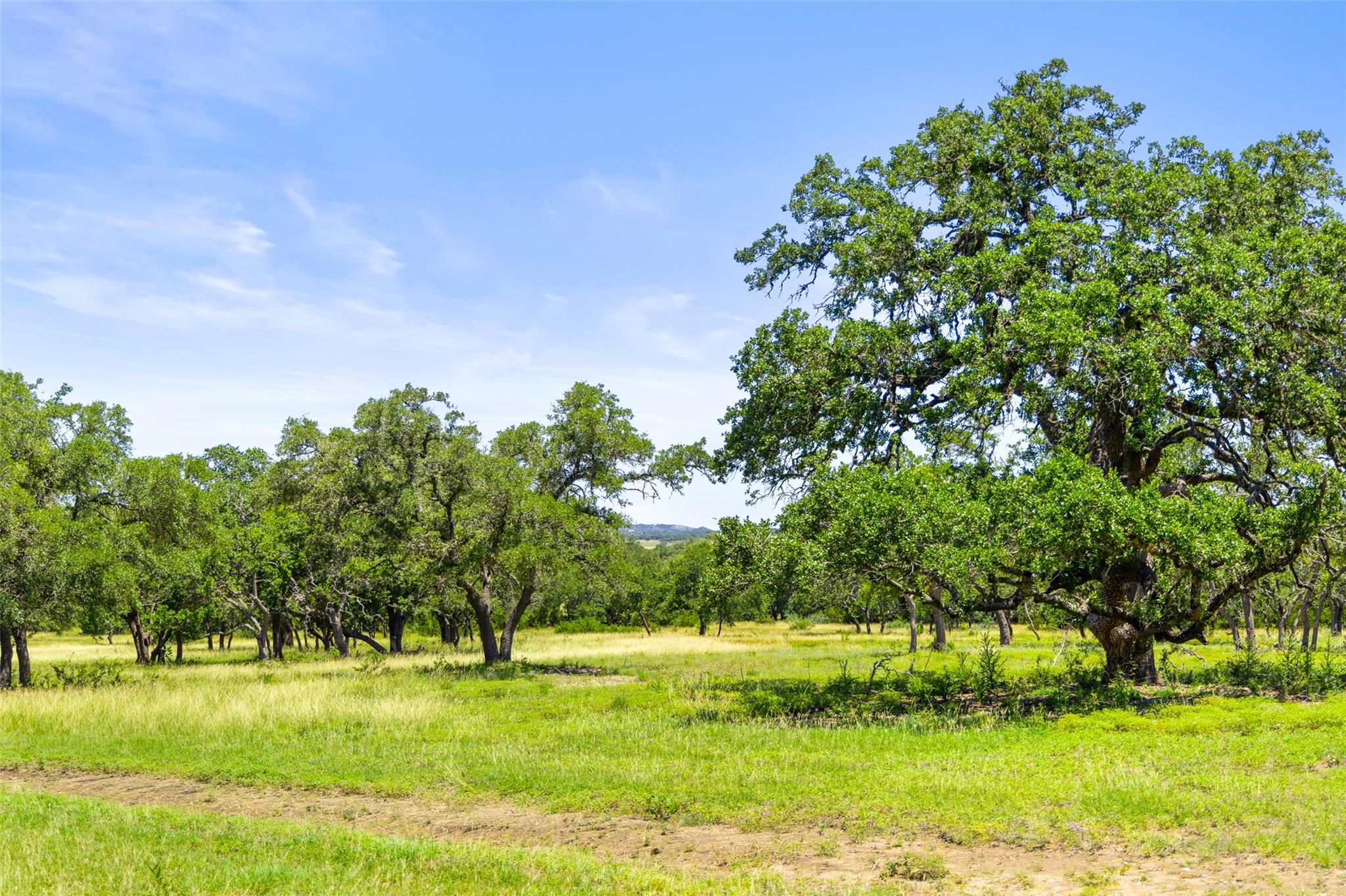 Details for 1094 Lindeman Ln, Blanco, TX 78606