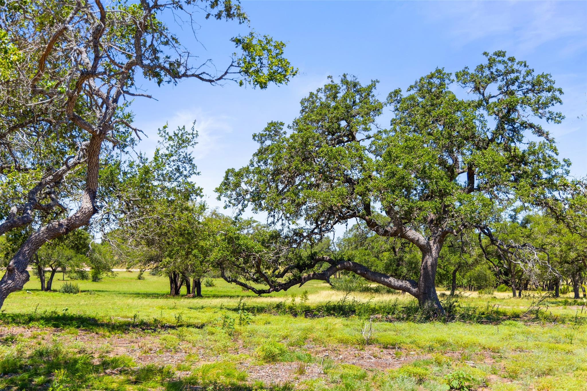 Image 11 of 12 For 1094 Lindeman Ln