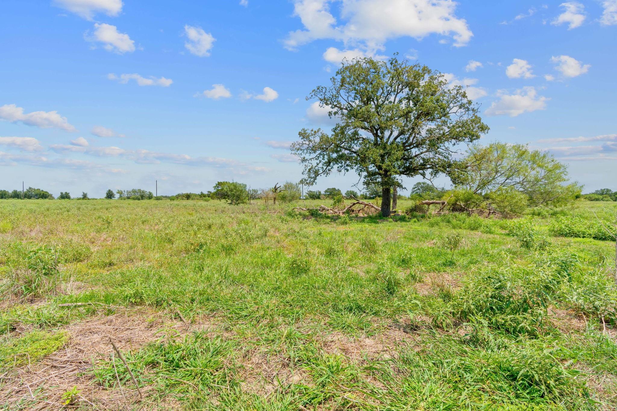 Details for Lot 1 County Road 406, Flatonia, TX 78632