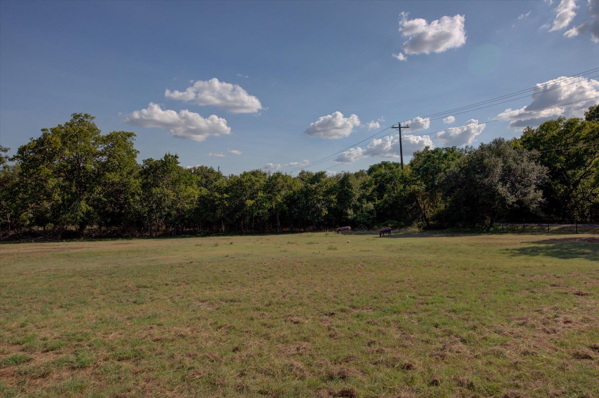 Image 37 of 40 For 12401 Hewitt Ln