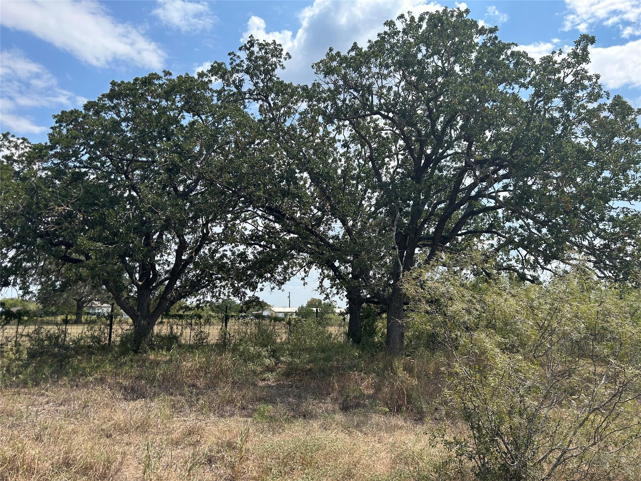 Details for 303 Walter Hoffman Rd, Cedar Creek, TX 78612