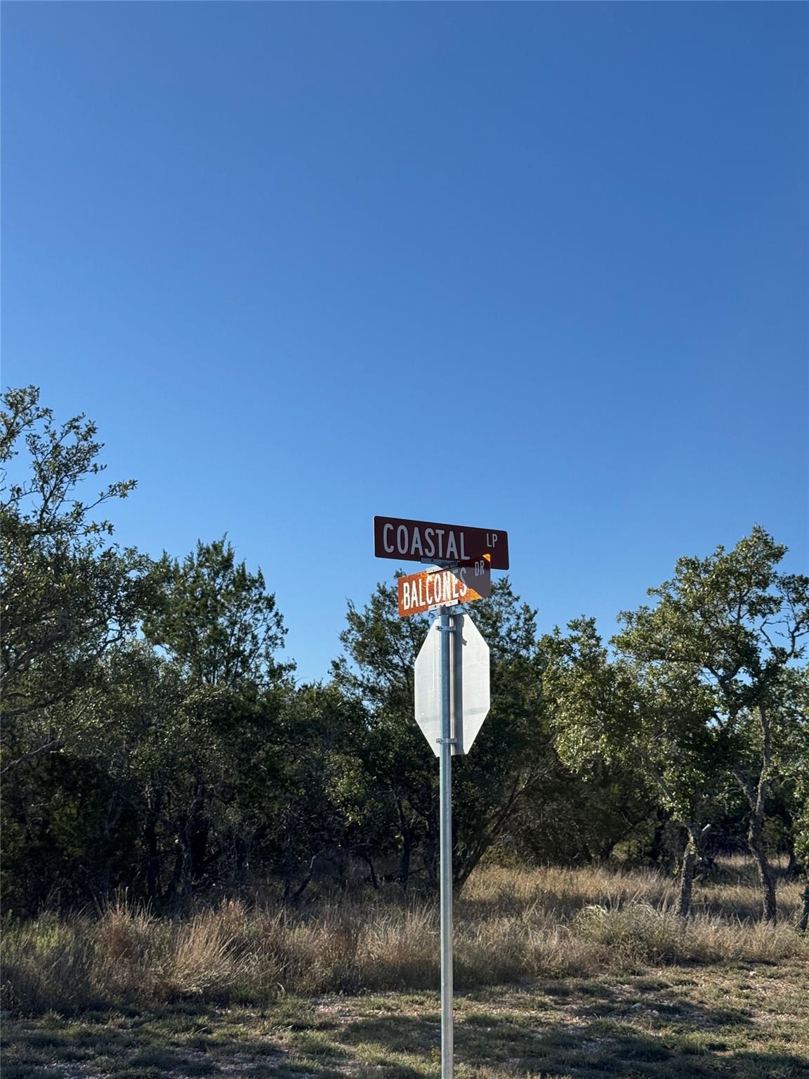 Details for 60 Coastal Loop, Johnson City, TX 78636