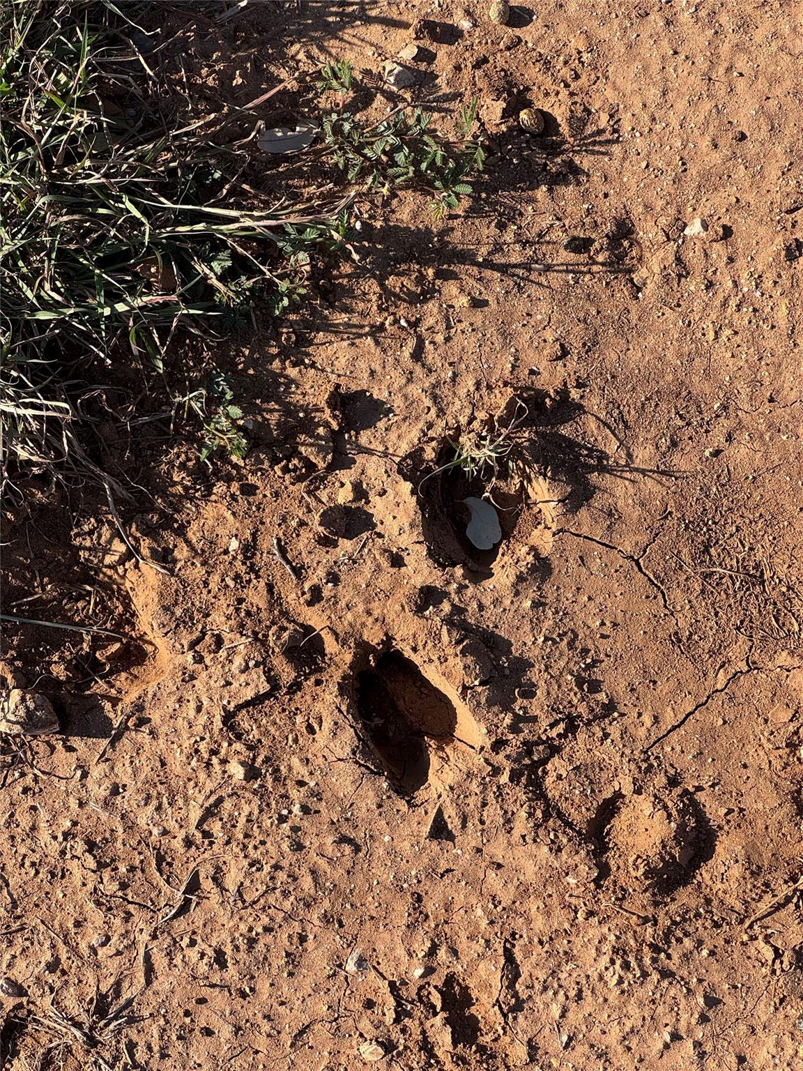 Image 15 of 21 For 60 Coastal Loop