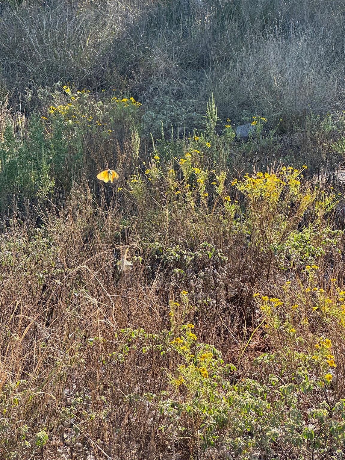 Image 17 of 21 For 60 Coastal Loop