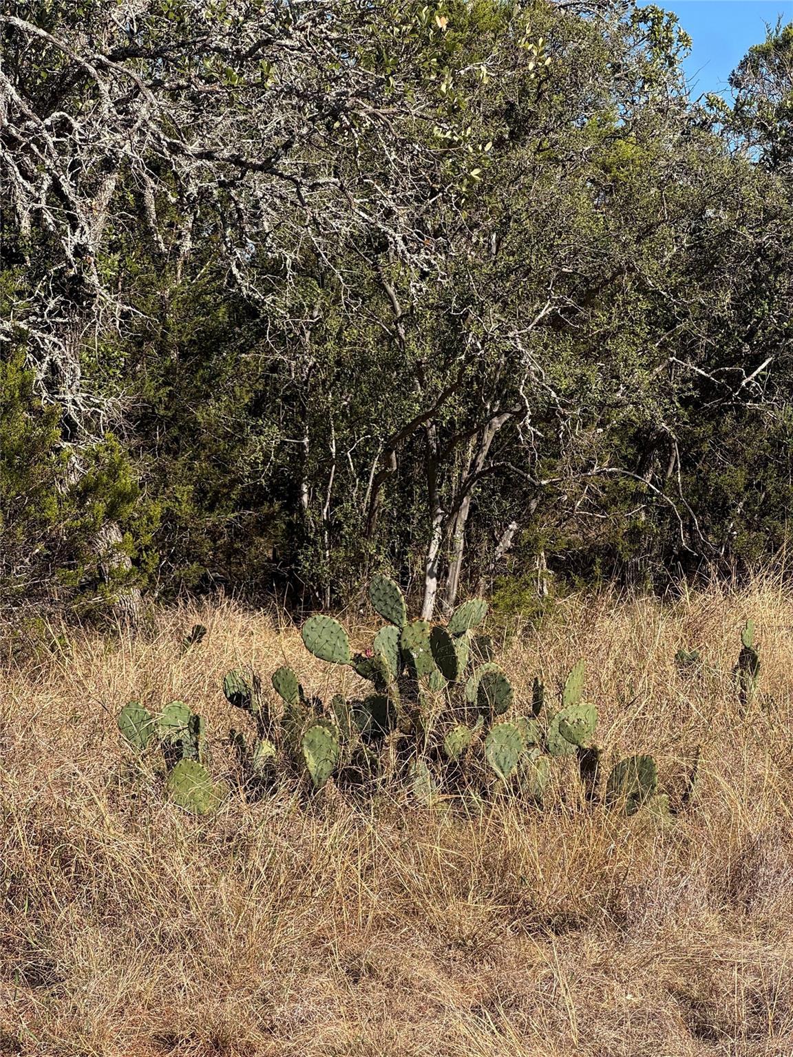 Image 7 of 21 For 60 Coastal Loop