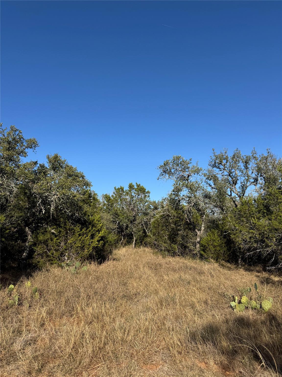 Image 9 of 21 For 60 Coastal Loop