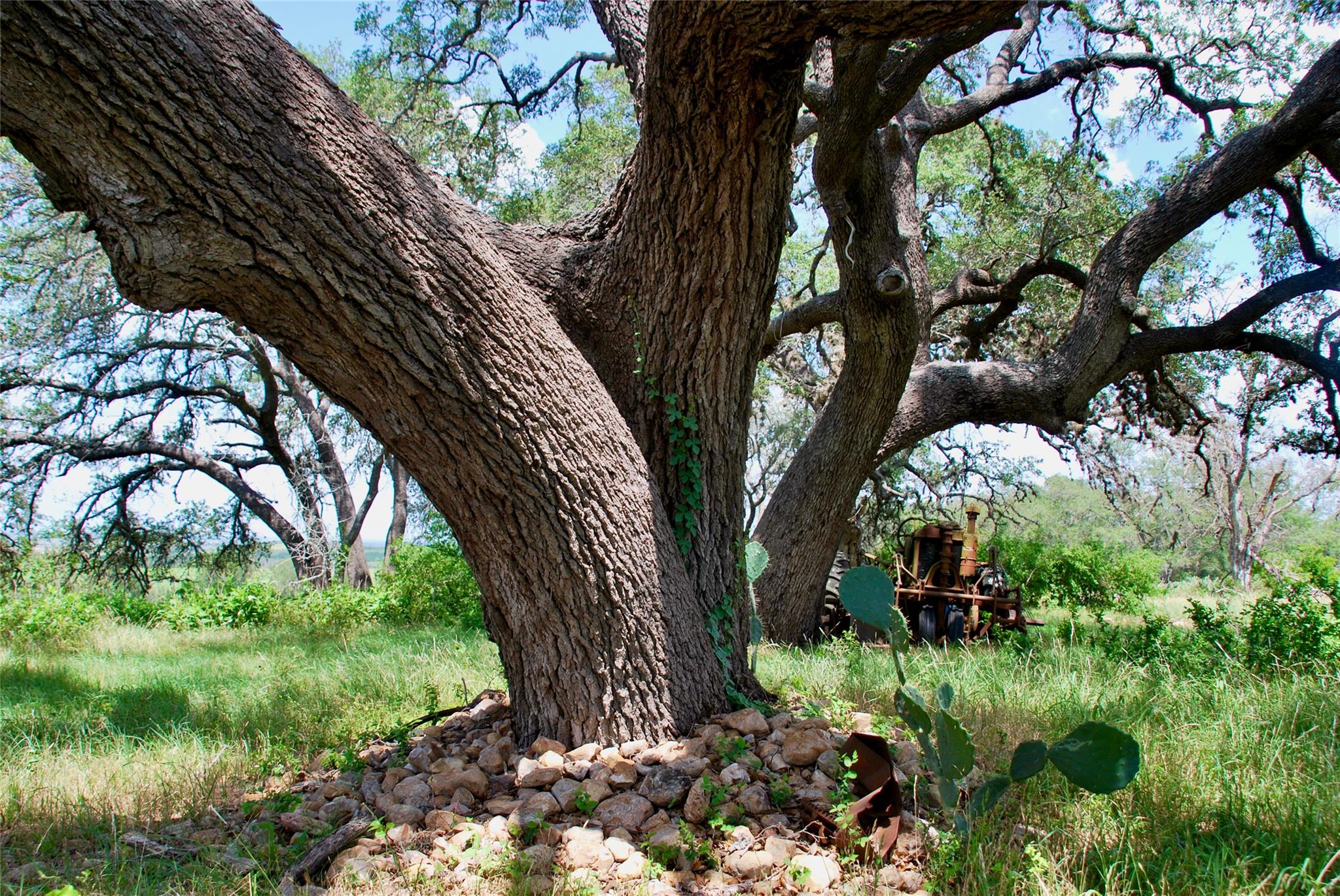 Image 24 of 39 For 2725 Old Lehmann Rd