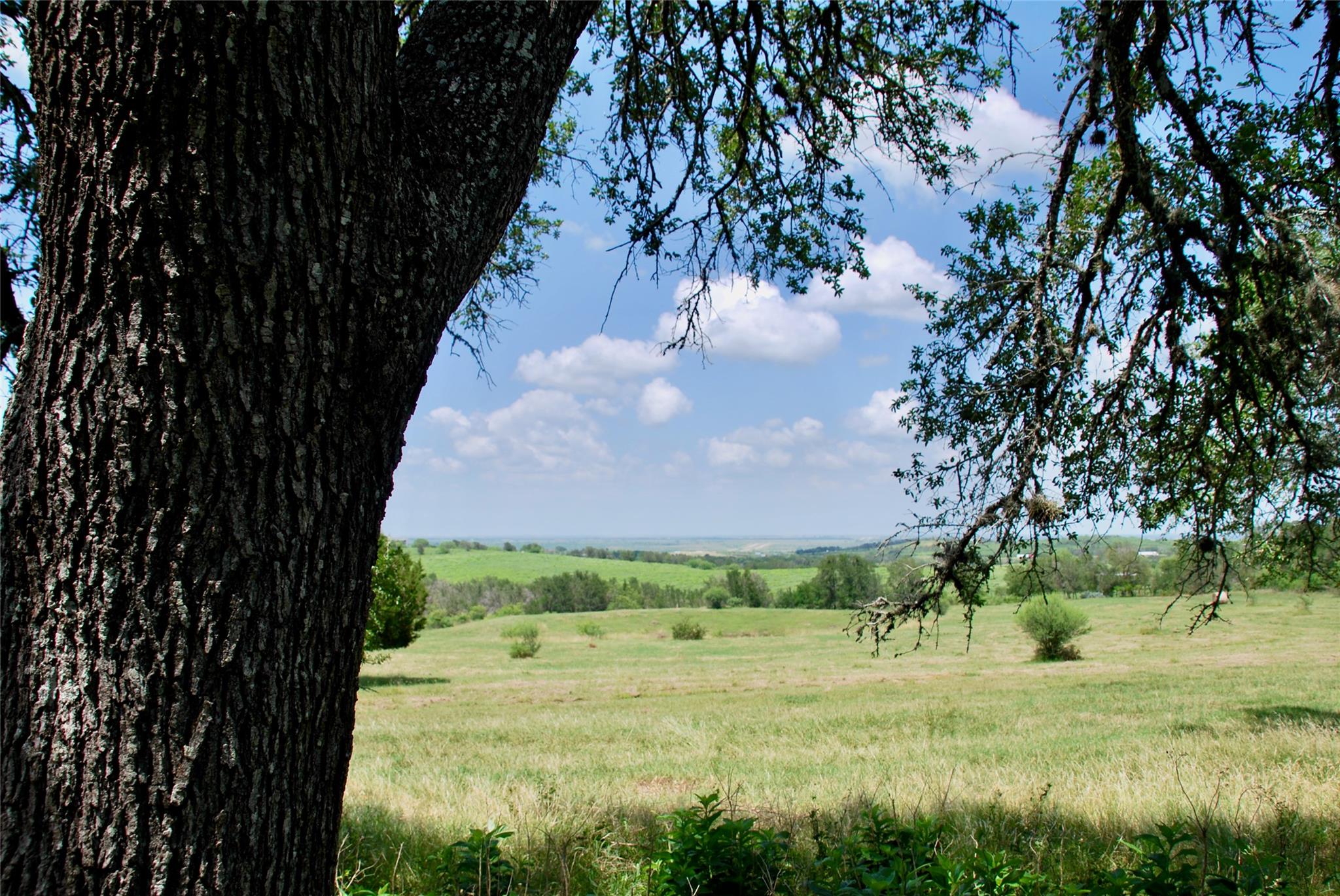 Image 27 of 39 For 2725 Old Lehmann Rd