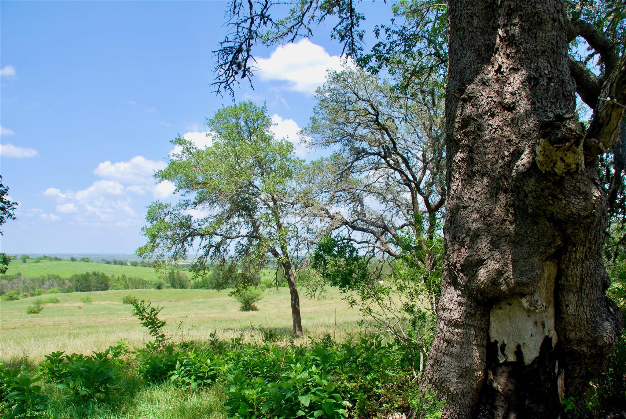 Image 28 of 39 For 2725 Old Lehmann Rd