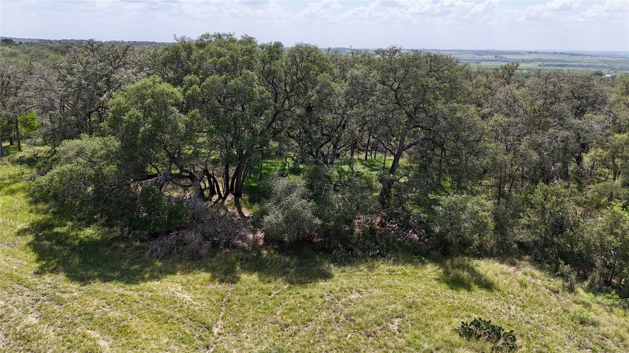 Image 35 of 39 For 2725 Old Lehmann Rd