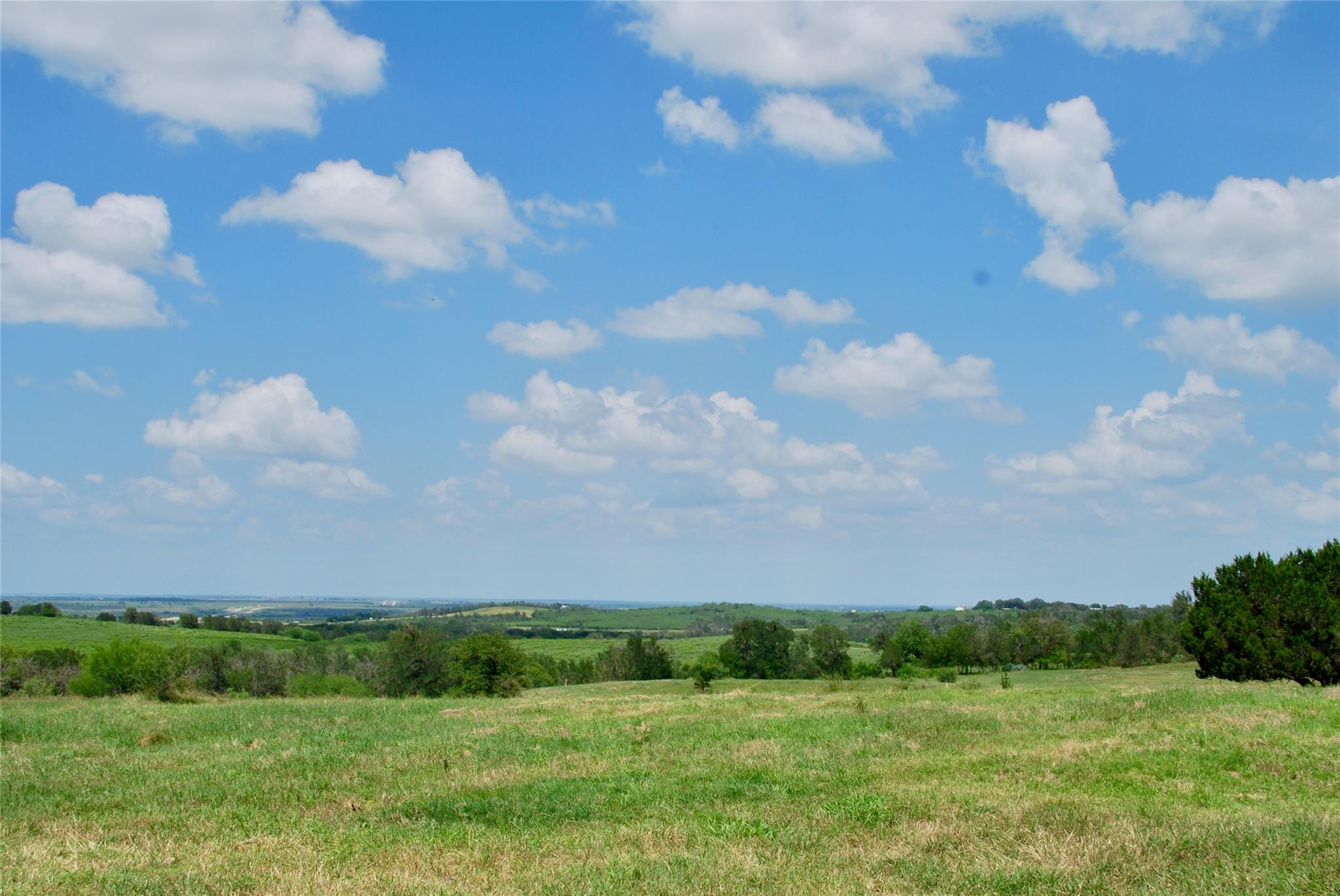 Image 5 of 39 For 2725 Old Lehmann Rd