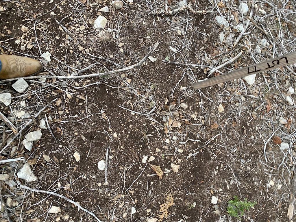 Image 17 of 24 For 000 Pristine Trl-pkwy