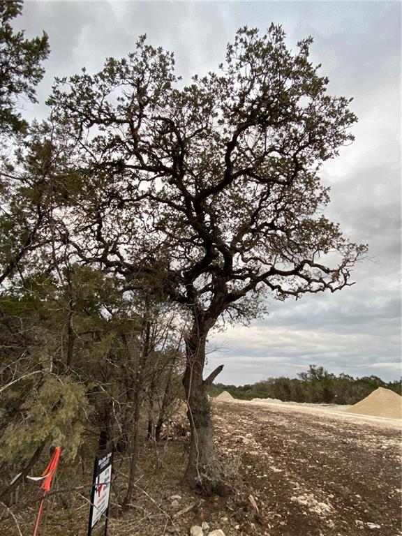 Image 2 of 24 For 000 Pristine Trl-pkwy