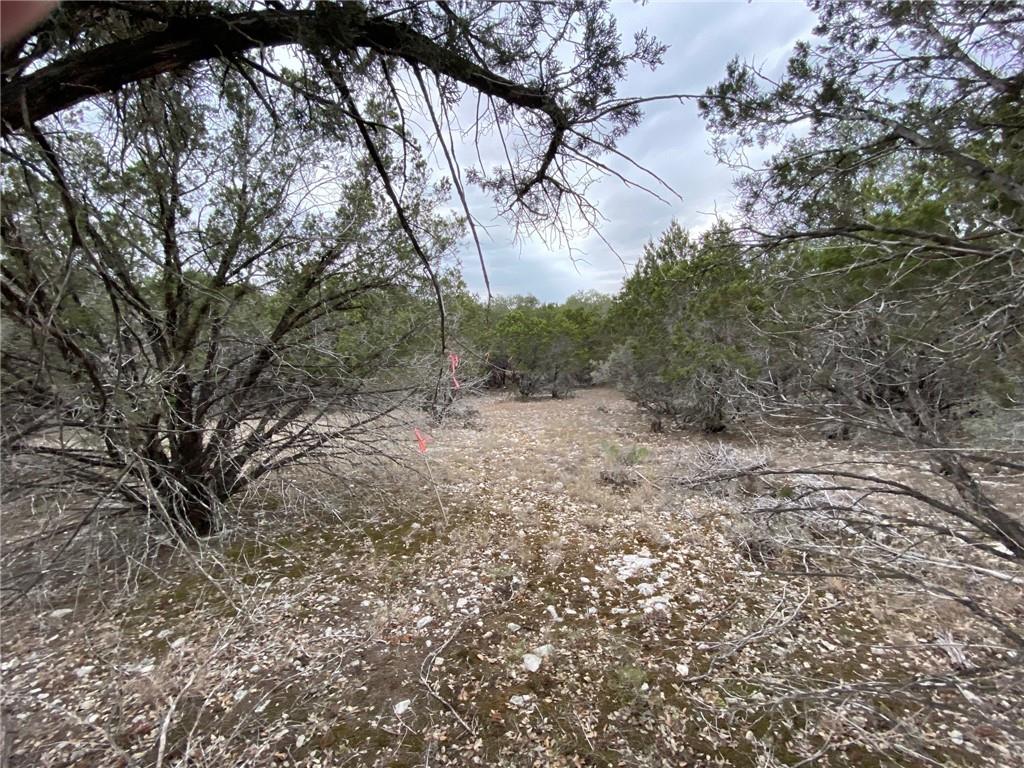 Image 3 of 24 For 000 Pristine Trl-pkwy