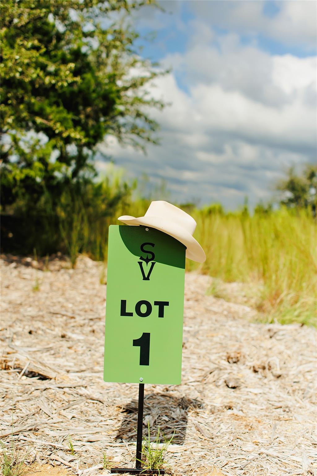 Image 3 of 17 For Lot 1 Sunset View Ct