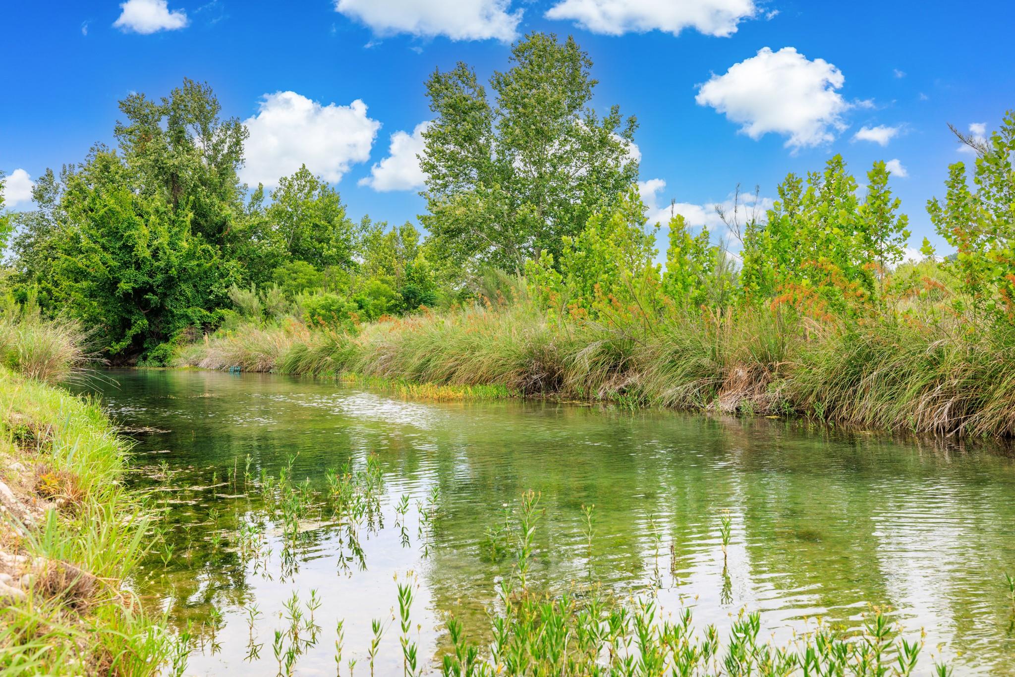 Image 29 of 32 For 1245a Private Road 2415