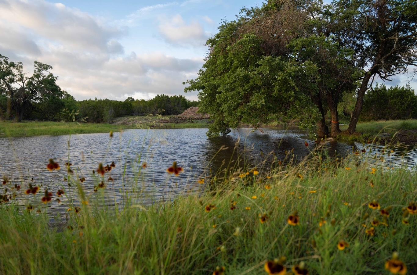 Image 3 of 7 For 2078 Ranch Road 962, Lot 33 Rd