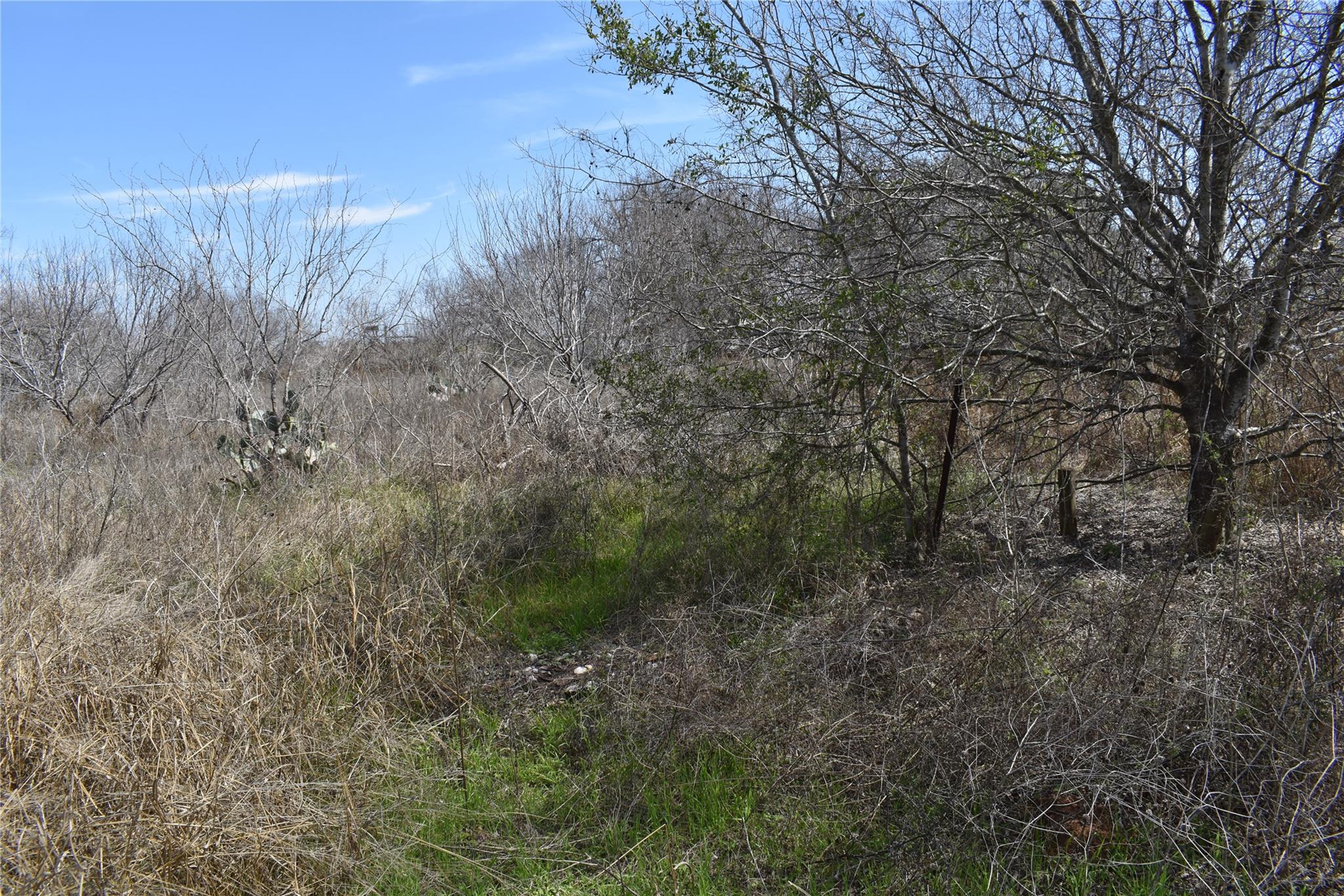 Image 19 of 36 For 3200 State Highway 16