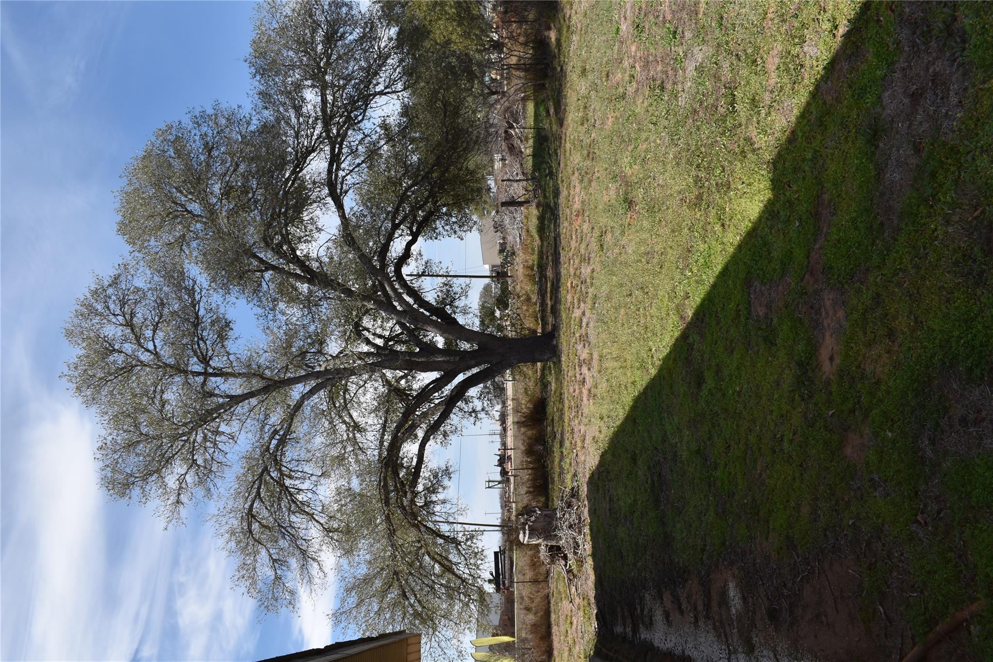 Image 9 of 36 For 3200 State Highway 16