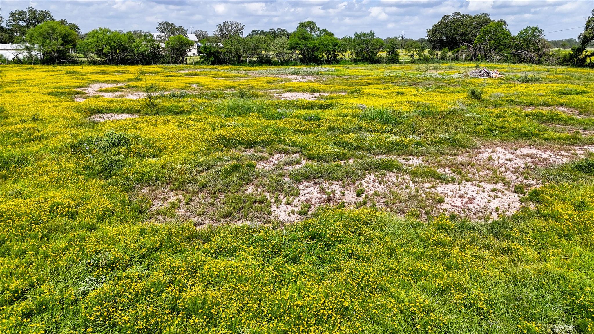 Image 16 of 40 For 275 & 279 Cross Rd